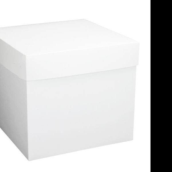 CAJA CUBO KRAFT BCA. 38X30X38CM 1 GOSTECH E10